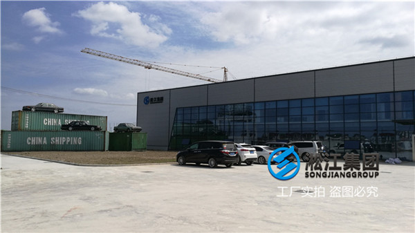 宁德消防泵用DN150橡胶避震喉
